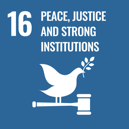 16 - PEACE, JUSTICE AND STRONG INSTITUTIONS