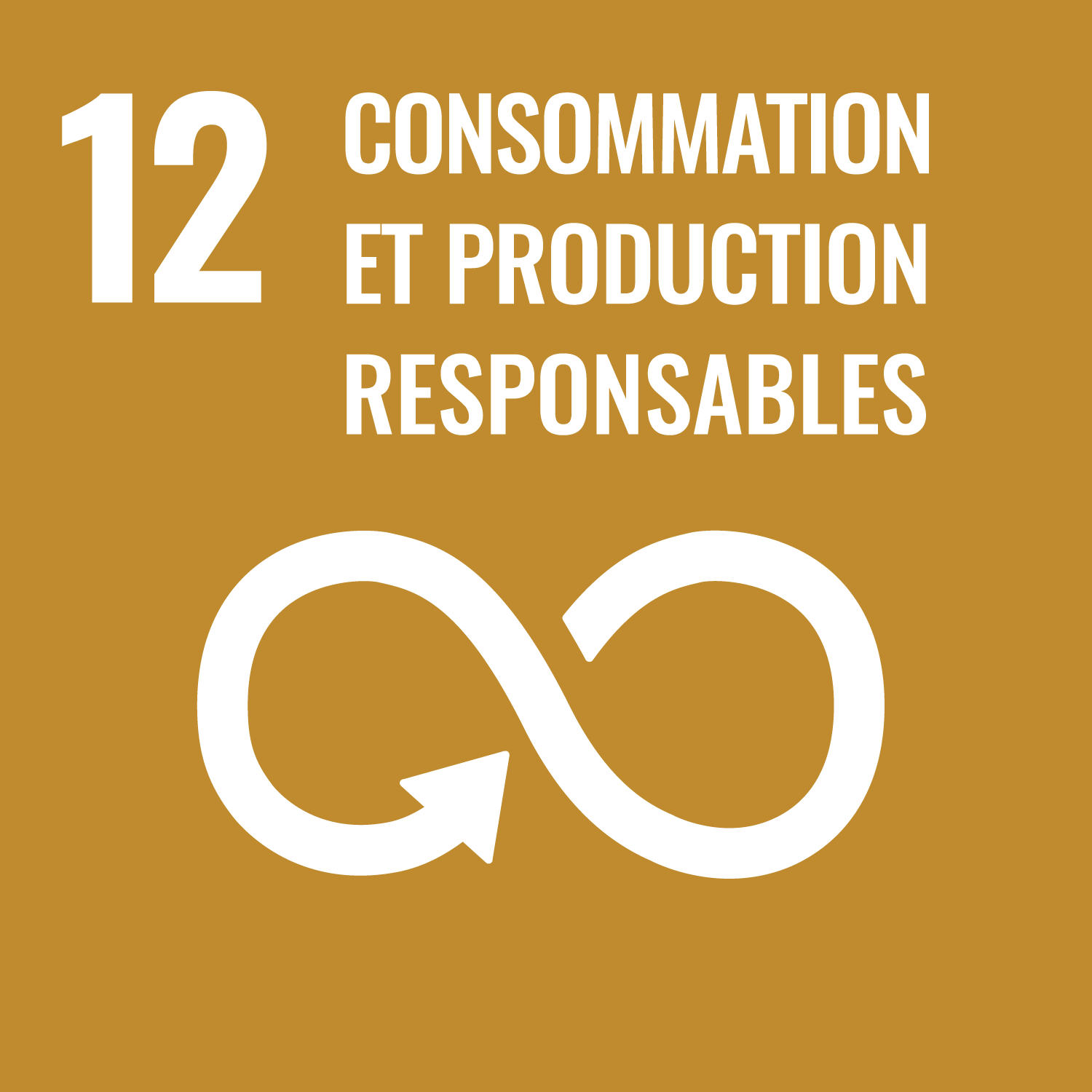 12 - RESPONSIBLE CONSUMPTION AND PRODUCTION