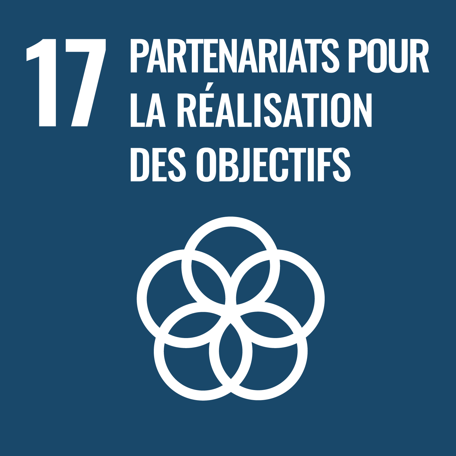 17 - PARTENARIATS POUR LA REALISATION DES OBJECTIFS